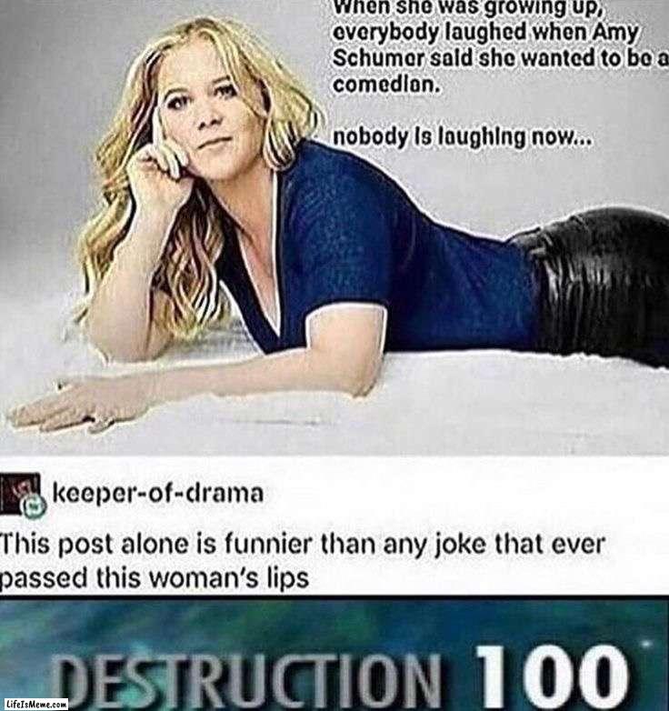 Absolutely destroyed | image tagged in memes,funny,rareinsults | made w/ Lifeismeme meme maker