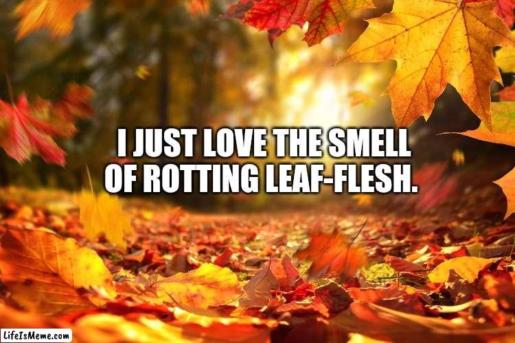 Rotting Leaf-Flesh |  I JUST LOVE THE SMELL
OF ROTTING LEAF-FLESH. | image tagged in funny,fall | made w/ Lifeismeme meme maker