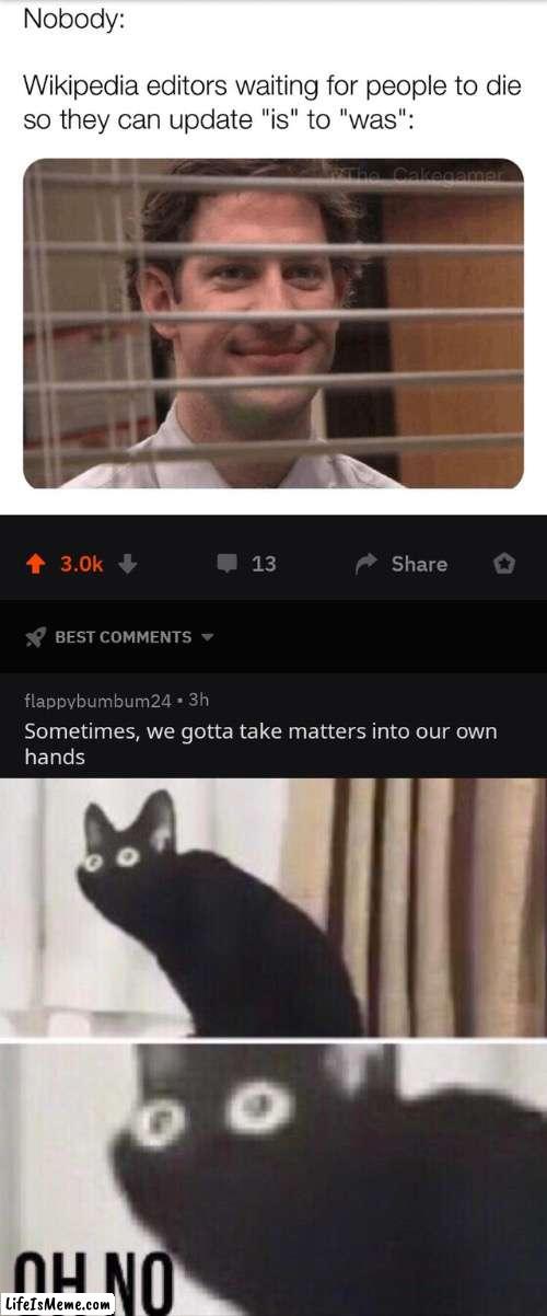 Ohhhhh no. | image tagged in funny,memes,oh no cat | made w/ Lifeismeme meme maker