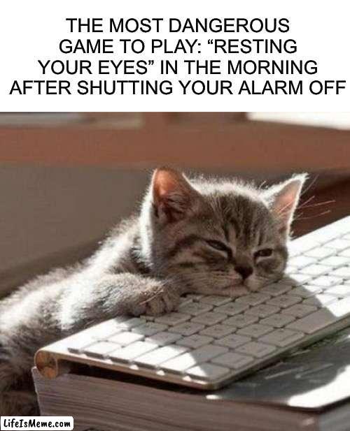 Don’t do it :) |  THE MOST DANGEROUS GAME TO PLAY: “RESTING YOUR EYES” IN THE MORNING AFTER SHUTTING YOUR ALARM OFF | image tagged in tired cat,memes,funny,tired,sleep,dangerous | made w/ Lifeismeme meme maker