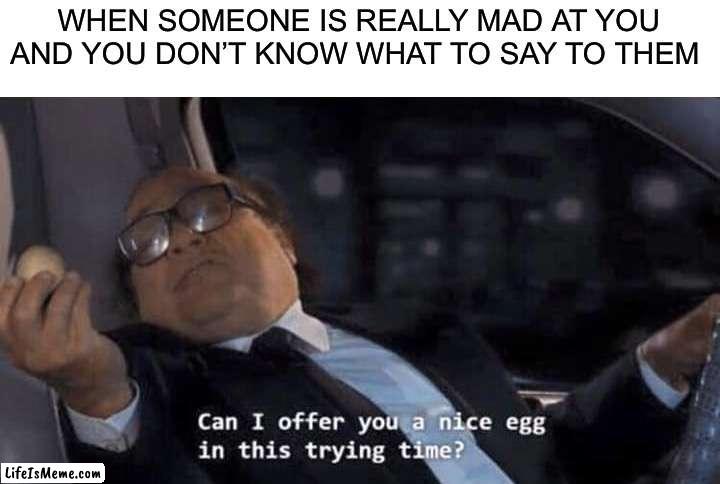 Take the e g g. c o o k i t |  WHEN SOMEONE IS REALLY MAD AT YOU AND YOU DON’T KNOW WHAT TO SAY TO THEM | image tagged in can i offer you a nice egg in this trying time,memes,funny,egg,cook,cooking | made w/ Lifeismeme meme maker