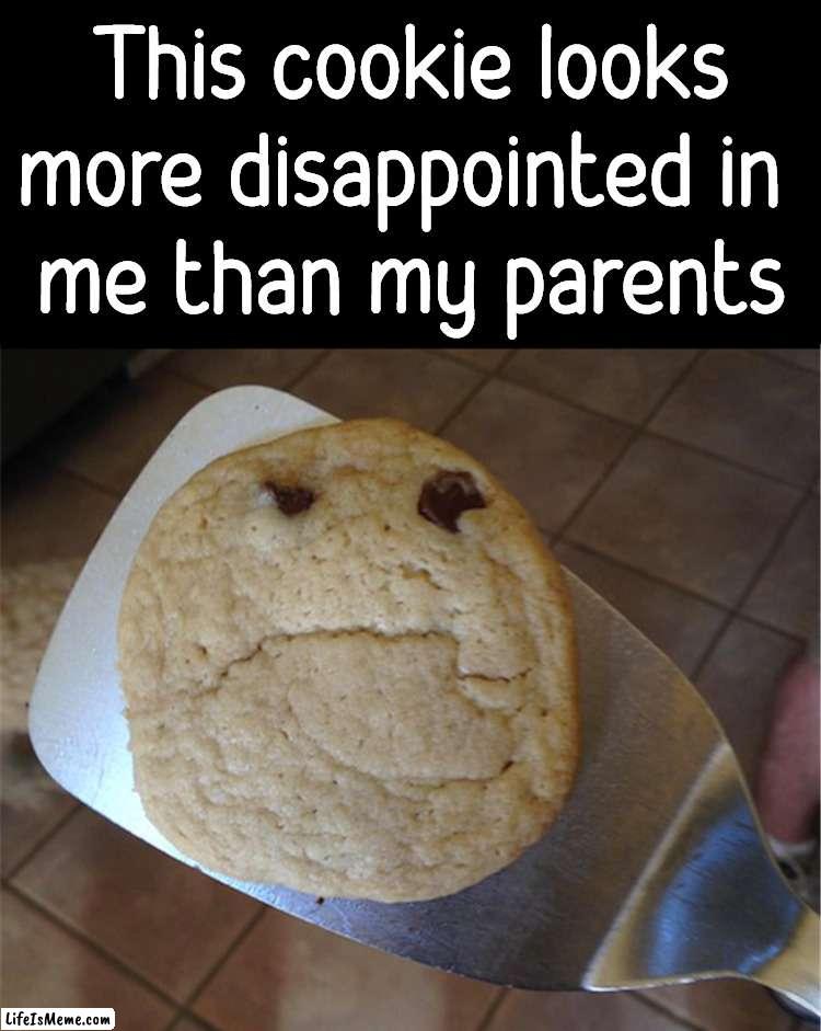 That would be massive disappointment |  This cookie looks more disappointed in 
me than my parents | image tagged in disappointment,parents,cookie | made w/ Lifeismeme meme maker