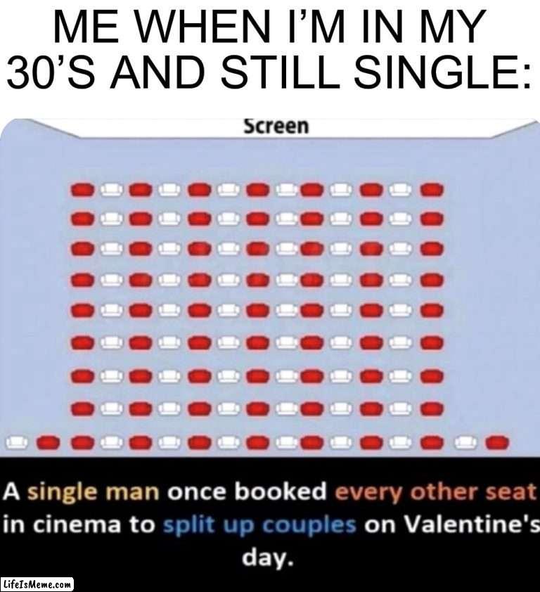 I’m gonna do this someday |  ME WHEN I’M IN MY 30’S AND STILL SINGLE: | image tagged in memes,funny,oof,valentine's day,alone,sad | made w/ Lifeismeme meme maker