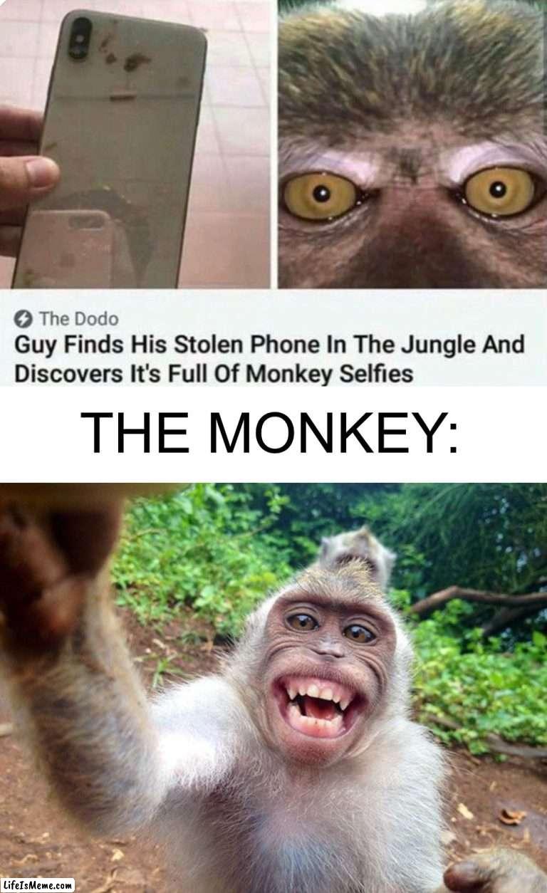 Monke |  THE MONKEY: | image tagged in memes,funny,monke,monkey,selfie,oop | made w/ Lifeismeme meme maker