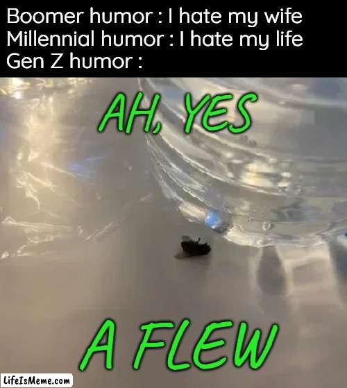 FLEW |  Boomer humor : I hate my wife

Millennial humor : I hate my life

Gen Z humor :; AH, YES; A FLEW | image tagged in gen z humor,boomer humor millennial humor gen-z humor | made w/ Lifeismeme meme maker