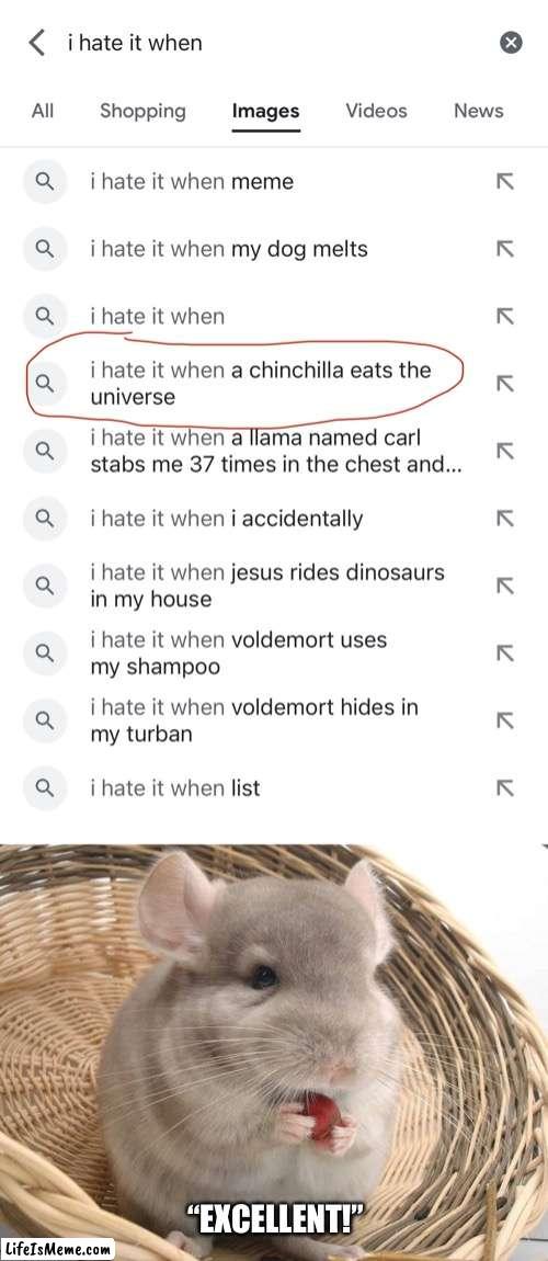 I Hate It When |  “EXCELLENT!” | image tagged in i hate it when,google search,chinchilla,eats the universe,excellent | made w/ Lifeismeme meme maker