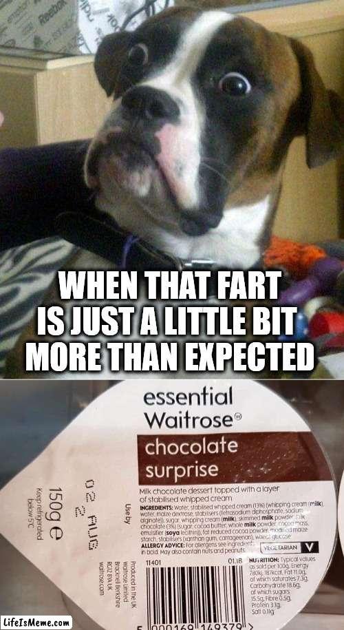 When you get a little surprise |  WHEN THAT FART IS JUST A LITTLE BIT 
MORE THAN EXPECTED | image tagged in blankie the shocked dog,farting,surprised,shart,chocolate | made w/ Lifeismeme meme maker