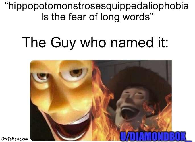 Satanic Woody |  “hippopotomonstrosesquippedaliophobia Is the fear of long words”; The Guy who named it:; U/DIAMONDBOX_ | image tagged in satanic woody | made w/ Lifeismeme meme maker