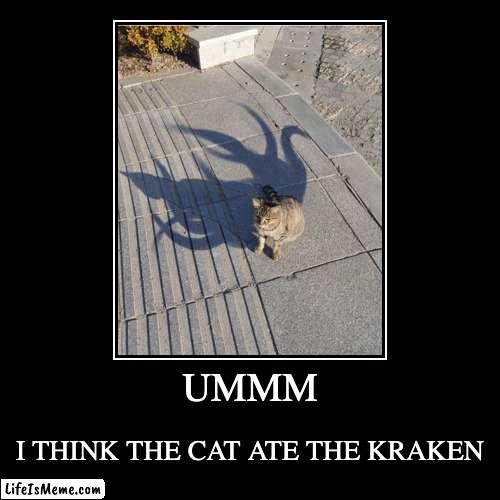 This cat tho | UMMM | I THINK THE CAT ATE THE KRAKEN | image tagged in funny,demotivationals | made w/ Lifeismeme demotivational maker