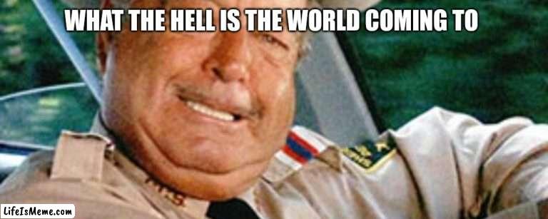 Sheriff Buford T Justice |  WHAT THE HELL IS THE WORLD COMING TO | image tagged in funny memes | made w/ Lifeismeme meme maker