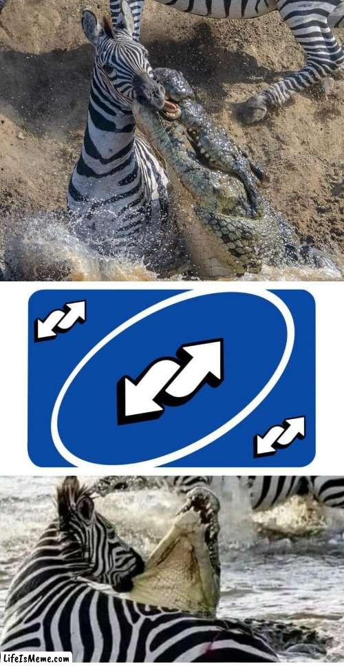 Reverse card well played | image tagged in zebra,crocodile,uno reverse card,well played | made w/ Lifeismeme meme maker