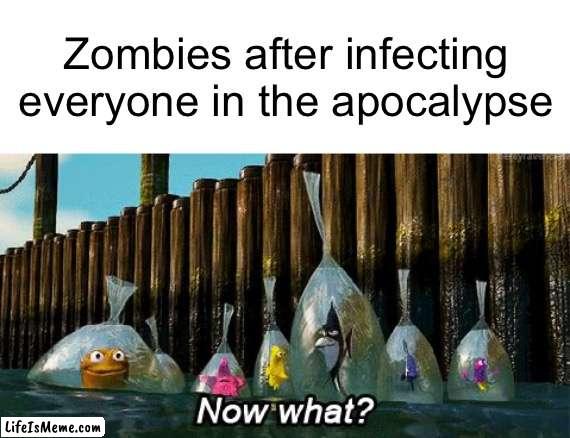 Brainz! |  Zombies after infecting everyone in the apocalypse | image tagged in now what,zombies,funny,finding nemo | made w/ Lifeismeme meme maker