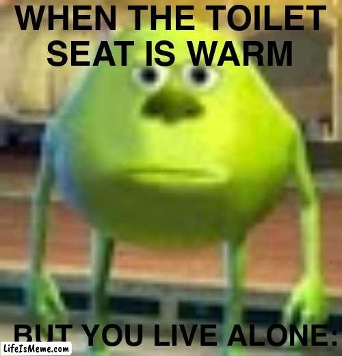 Funny relatable |  WHEN THE TOILET SEAT IS WARM; BUT YOU LIVE ALONE: | image tagged in sully wazowski | made w/ Lifeismeme meme maker