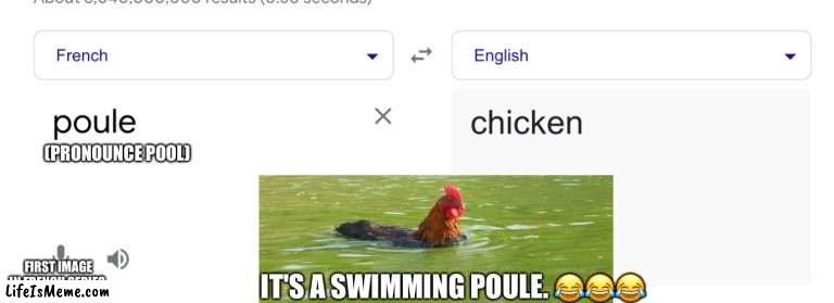 French |  (PRONOUNCE POOL); IT'S A SWIMMING POULE. 😂😂😂; FIRST IMAGE IN FRENCH SERIES | image tagged in french,memes,chicken | made w/ Lifeismeme meme maker