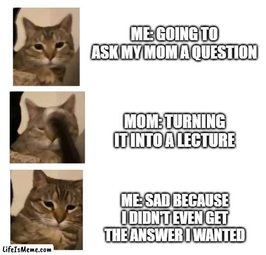 Cat meme |  ME: GOING TO ASK MY MOM A QUESTION; MOM: TURNING IT INTO A LECTURE; ME: SAD BECAUSE I DIDN'T EVEN GET THE ANSWER I WANTED | image tagged in cats | made w/ Lifeismeme meme maker