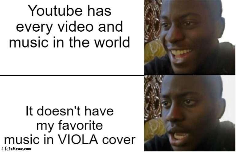 I'm learning viola so that is pretty sad. |  Youtube has every video and music in the world; It doesn't have my favorite music in VIOLA cover | image tagged in disappointed black guy,youtube | made w/ Lifeismeme meme maker