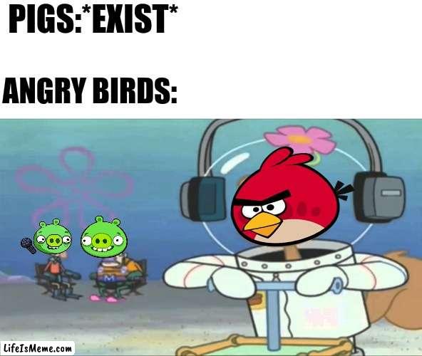 Did somebody say BOOM? |  PIGS:*EXIST*; ANGRY BIRDS: | image tagged in did somebody say boom,sandy cheeks,angry birds,spongebob squarepants | made w/ Lifeismeme meme maker