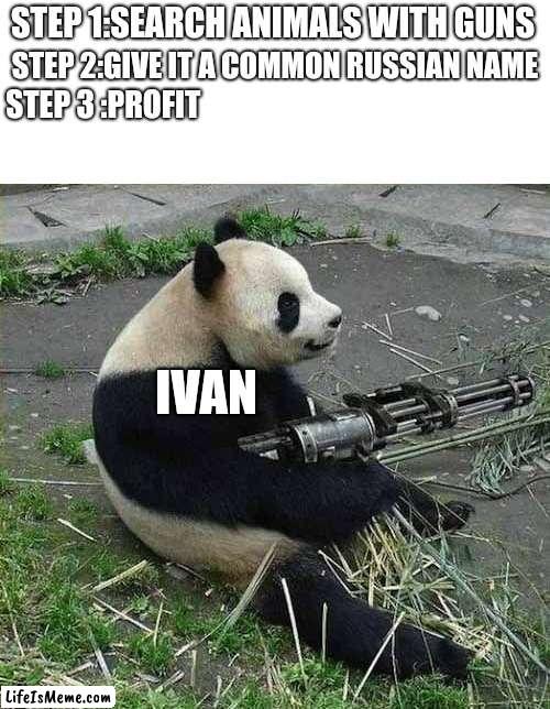 Panda with a gun |  STEP 1:SEARCH ANIMALS WITH GUNS; STEP 2:GIVE IT A COMMON RUSSIAN NAME; STEP 3 :PROFIT; IVAN | image tagged in animals,funny | made w/ Lifeismeme meme maker