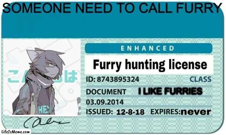 Durry |  SOMEONE NEED TO CALL FURRY; I LIKE FURRIES | image tagged in furry hunting license,furry,memes | made w/ Lifeismeme meme maker