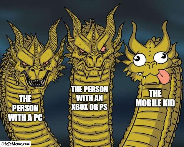 yo game |  THE PERSON WITH AN XBOX OR PS; THE MOBILE KID; THE PERSON WITH A PC | image tagged in three-headed dragon | made w/ Lifeismeme meme maker