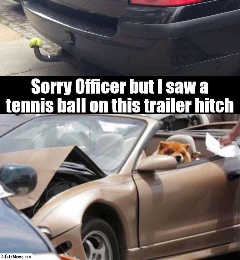 Distracted driving for a dog |  Sorry Officer but I saw a tennis ball on this trailer hitch | image tagged in dogs,tennis,balls,distracted,driving | made w/ Lifeismeme meme maker