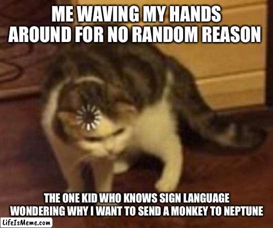 Almost at 20k pls upvote |  ME WAVING MY HANDS AROUND FOR NO RANDOM REASON; THE ONE KID WHO KNOWS SIGN LANGUAGE WONDERING WHY I WANT TO SEND A MONKEY TO NEPTUNE | image tagged in loading cat | made w/ Lifeismeme meme maker