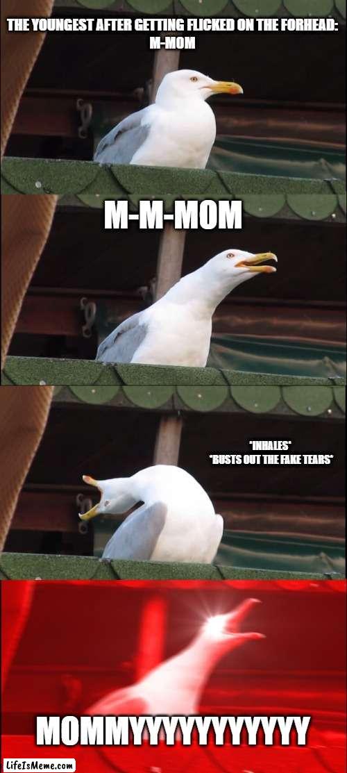 Inhaling Seagull Meme |  THE YOUNGEST AFTER GETTING FLICKED ON THE FORHEAD:
M-MOM; M-M-MOM; *INHALES*
 *BUSTS OUT THE FAKE TEARS*; MOMMYYYYYYYYYYY | image tagged in memes,inhaling seagull | made w/ Lifeismeme meme maker