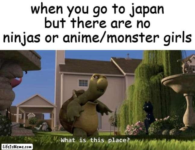 ha |  when you go to japan but there are no ninjas or anime/monster girls | image tagged in what is this place,japan,japanese,meanwhile in japan,anime | made w/ Lifeismeme meme maker