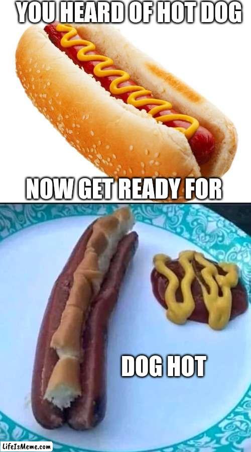 THE FUTURE IS HERE! |  YOU HEARD OF HOT DOG; NOW GET READY FOR; DOG HOT | image tagged in hotdog,stupid,fail,food | made w/ Lifeismeme meme maker