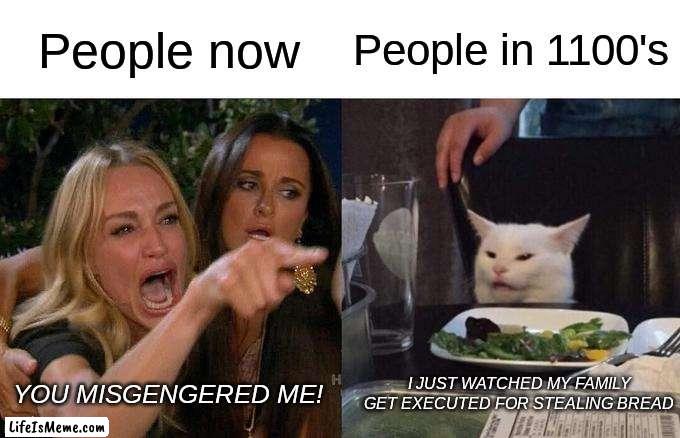 Why do people be so offended |  People now; People in 1100's; YOU MISGENGERED ME! I JUST WATCHED MY FAMILY GET EXECUTED FOR STEALING BREAD | image tagged in memes,woman yelling at cat | made w/ Lifeismeme meme maker