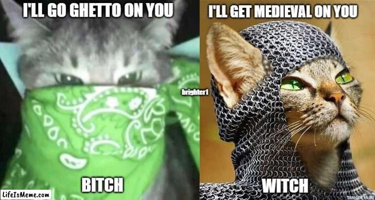 It's not The Crips and The Bloods |  I'LL GET MEDIEVAL ON YOU; I'LL GO GHETTO ON YOU; brighter1; BITCH; WITCH | image tagged in gangsta,medieval memes,cats | made w/ Lifeismeme meme maker