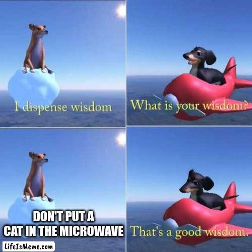 heres sum wisdom |  DON'T PUT A CAT IN THE MICROWAVE | image tagged in wisdom dog | made w/ Lifeismeme meme maker