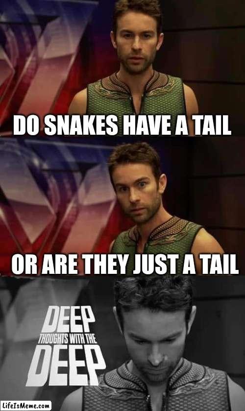 Deep Thoughts with the Deep |  DO SNAKES HAVE A TAIL; OR ARE THEY JUST A TAIL | image tagged in deep thoughts with the deep,snakes,tails,hmmmmmmmmmmmmmmmmmmm | made w/ Lifeismeme meme maker