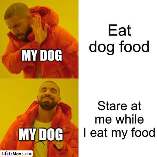 Dogs be like |  Eat dog food; MY DOG; Stare at me while I eat my food; MY DOG | image tagged in memes,drake hotline bling | made w/ Lifeismeme meme maker