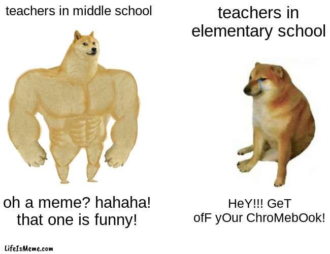 this literally just happened to me |  teachers in middle school; teachers in elementary school; oh a meme? hahaha! that one is funny! HeY!!! GeT ofF yOur ChroMebOok! | image tagged in memes,buff doge vs cheems | made w/ Lifeismeme meme maker