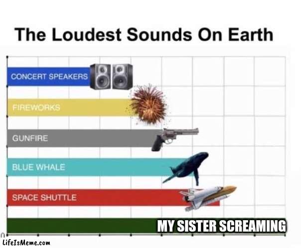 Do you have an annoying sibling? |  MY SISTER SCREAMING | image tagged in the loudest sounds on earth | made w/ Lifeismeme meme maker