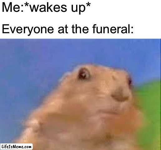 Dramatic Chipmunk |  Me:*wakes up*; Everyone at the funeral: | image tagged in dramatic chipmunk,funeral,wake up | made w/ Lifeismeme meme maker