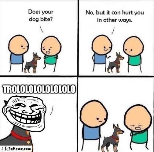 does your dog bite |  TROLOLOLOLOLOLOLO | image tagged in does your dog bite,troll,trolls,trololol | made w/ Lifeismeme meme maker