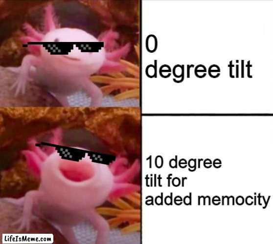 Axolotl |  0 degree tilt; 10 degree tilt for added memocity | image tagged in axolotl drake | made w/ Lifeismeme meme maker