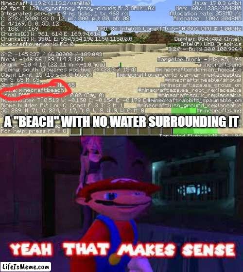 Minecraft world generation is so weird... |  A "BEACH" WITH NO WATER SURROUNDING IT | image tagged in minecraft,yeah that makes sense,why are you reading the tags,stop reading the tags | made w/ Lifeismeme meme maker