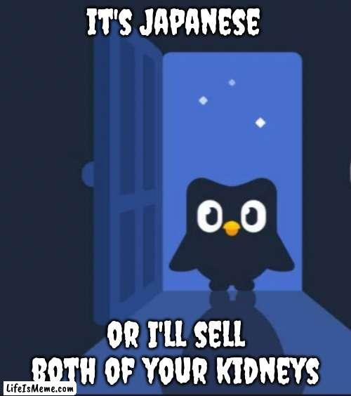 You better do your lesson |  it's Japanese; or I'll sell both of your kidneys | image tagged in duolingo bird,scary,japanese | made w/ Lifeismeme meme maker