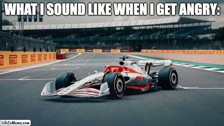 Vroom vroom. |  WHAT I SOUND LIKE WHEN I GET ANGRY: | image tagged in race car,angry | made w/ Lifeismeme meme maker