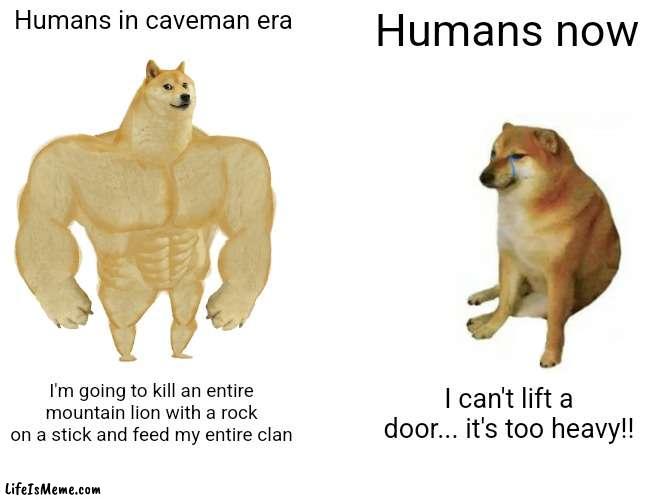 Seriously what happened to us |  Humans in caveman era; Humans now; I'm going to kill an entire mountain lion with a rock on a stick and feed my entire clan; I can't lift a door... it's too heavy!! | image tagged in memes,buff doge vs cheems | made w/ Lifeismeme meme maker