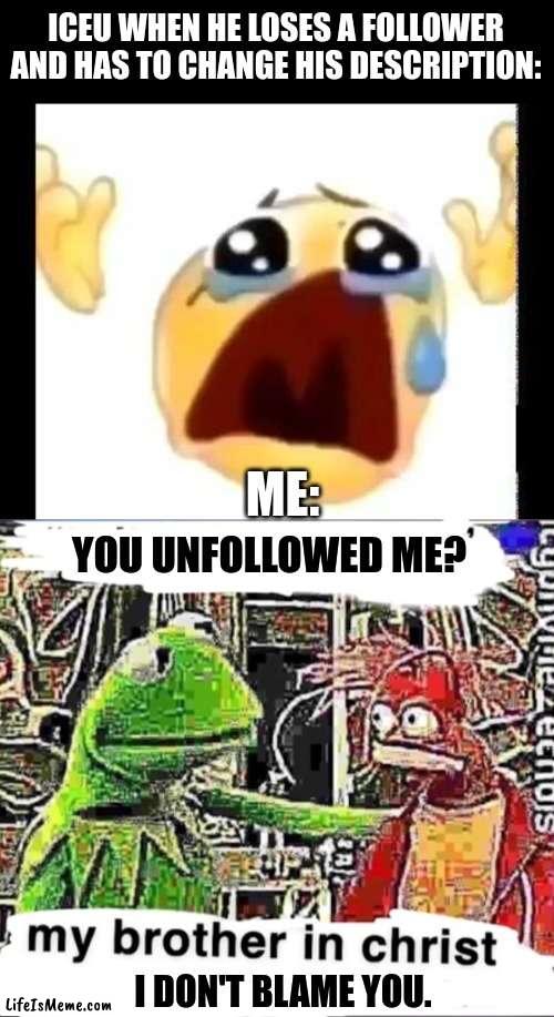 i don't blame you :/ |  ICEU WHEN HE LOSES A FOLLOWER AND HAS TO CHANGE HIS DESCRIPTION:; ME:; YOU UNFOLLOWED ME? I DON'T BLAME YOU. | image tagged in cursed crying emoji,my brother in christ,iceu,help me | made w/ Lifeismeme meme maker