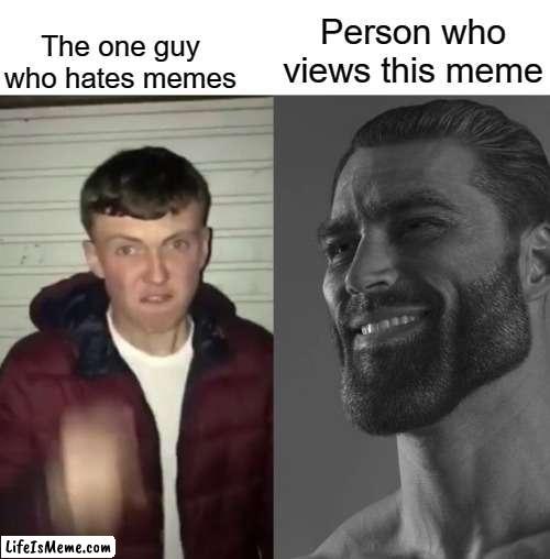 Hates memes vs viewing this meme |  Person who views this meme; The one guy who hates memes | image tagged in average fan vs average enjoyer | made w/ Lifeismeme meme maker