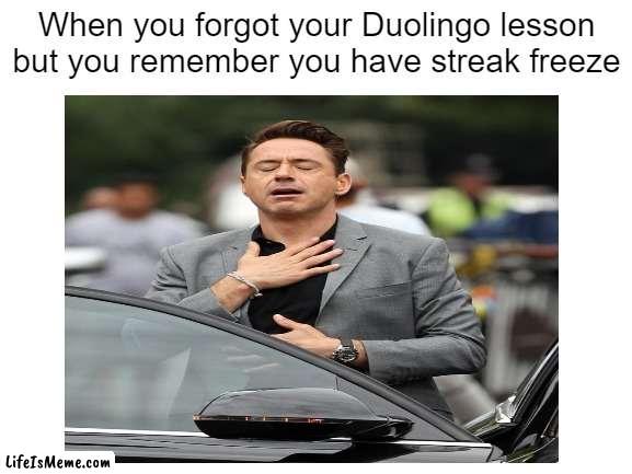 Duolingo has a streak freeze guys don't worry |  When you forgot your Duolingo lesson but you remember you have streak freeze | image tagged in duolingo | made w/ Lifeismeme meme maker