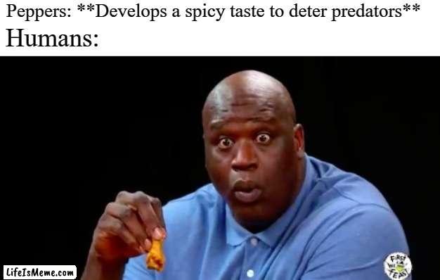 surprised shaq |  Peppers: **Develops a spicy taste to deter predators**; Humans: | image tagged in surprised shaq,spicy food,memes | made w/ Lifeismeme meme maker