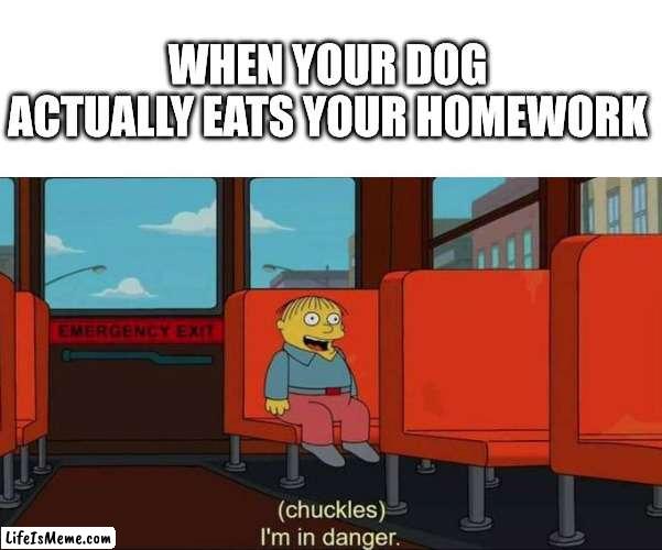 OH NO PLZ BELIEVE ME |  WHEN YOUR DOG ACTUALLY EATS YOUR HOMEWORK | image tagged in drake hotline bling,roll safe think about it,blank nut button,uno reverse card | made w/ Lifeismeme meme maker
