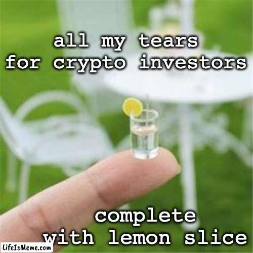 crypto tears |  all my tears for crypto investors; complete with lemon slice | image tagged in crypto,bitcoin,tears | made w/ Lifeismeme meme maker