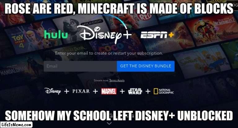 I could watch the Star Wars right now bro |  ROSE ARE RED, MINECRAFT IS MADE OF BLOCKS; SOMEHOW MY SCHOOL LEFT DISNEY+ UNBLOCKED | image tagged in memes,disney | made w/ Lifeismeme meme maker